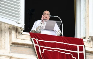 El Papa Francisco este 26 de enero Crédito: Vatican Media
