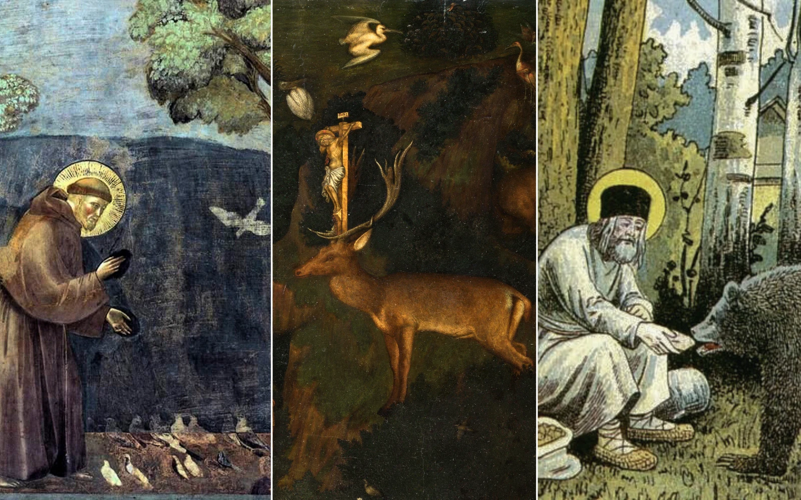 La leyenda de San Francisco de Asís; la visión de San Eustaquio; Serafín y el oso;?w=200&h=150