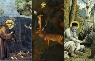 La leyenda de San Francisco de Asís; la visión de San Eustaquio; Serafín y el oso; Crédito: Dominio Público
