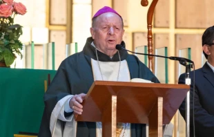 Mons. Cristóbal Ascencio García, Obispo de Apatzingán Crédito: Insigne y Nacional Basílica de Santa María de Guadalupe