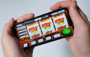 Imagen referencial Crédito: Niek Doup/Unsplash