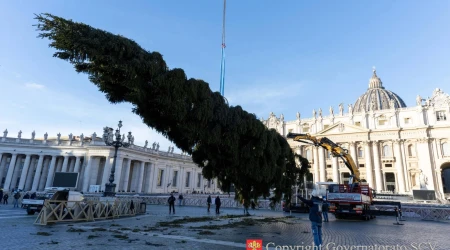 Árbol de Navidad del Vaticano