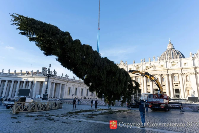 Árbol de Navidad del Vaticano