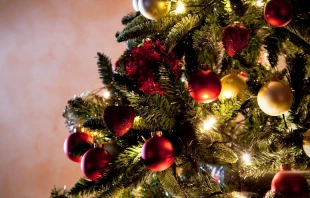 Árbol de Navidad Crédito: Dominio Público