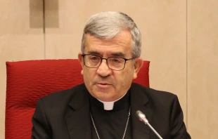 Mons. Luis Argüello, Arzobispo de Valladolid. Crédito: CEE.