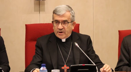 Mons. Luis Argüello, presidente de la Conferencia Episcopal Española.