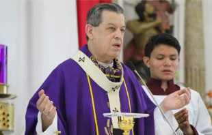Mons. Gustavo Rodríguez Vega. Crédito: Aquidiócesis de Yucatán