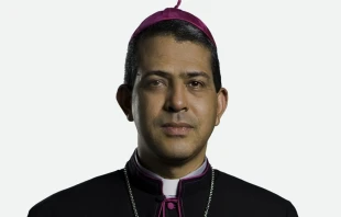 Mons. Carlos Tomás Morel Diplán, nuevo Arzobispo Coadjutor de Santo Domingo (República Dominicana). Crédito: IacobusL (CC BY-SA 4.0).