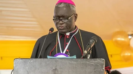 Arzobispo de Nairobi 20112024