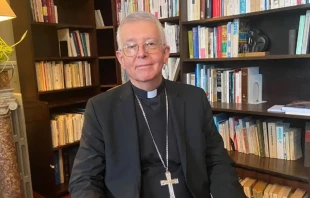 Mons. Guy de Kerimel, Arzobispo de Toulouse (Francia). Crédito: Cortesía de Radio France - Claudia Calmel.