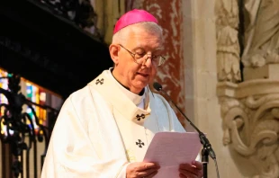 Arzobispo de Toulouse, Mons. Guy de Kirimel. Crédito: Diocèse de Toulouse