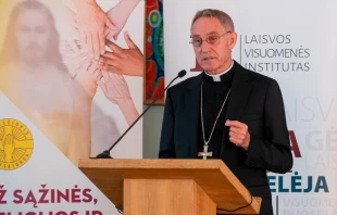 El Arzobispo Georg Gänswein habla en una conferencia sobre la Declaración de Šiluva en Šiluva, Lituania, el 4 de septiembre de 2024. Crédito: Juozas Kamenskas.