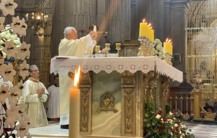 Arzobispo de Puebla de los Ángeles, Mons. Víctor Sánchez Espinosa, eleva la Eucaristía en la Misa en la que consagró el nuevo altar de su catedral. Crédito: David Ramos/ACI Prensa.
