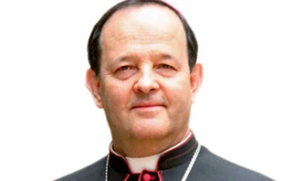 El Arzobispo de Medellín (Colombia), Mons. Ricardo Tobón Restrepo. Crédito: CEC.