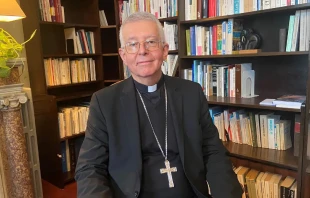 Mons. Guy de Kerimel, Arzobispo de Toulouse. Crédito: Cortesía de Radio France - Claudia Calmel