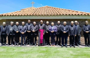 Obispos del Uruguay en Asamblea Crédito: Conferencia Episciopal del Uruguay