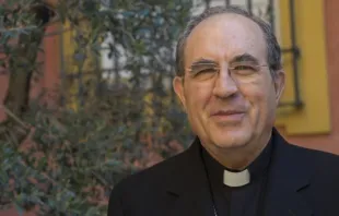 Mons. Juan José Asenjo, Arzobispo emérito de Sevilla. Crédito: Arzobispado de Sevilla.