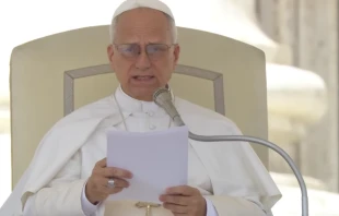 Papa León XIV Crédito: Captura de video/Vatican Media