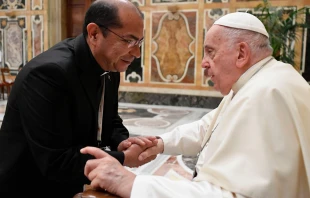 Audiencia del Papa en la audiencia con los Misioneras del Sagrado Corazón Crédito: Vatican Media