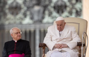 El Papa Francisco durante la Audiencia General en la Plaza de San Pedro el 13 de marzo de 2024. Crédito: Daniel Ibáñez - EWTN News
