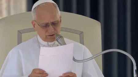 El Santo Padre prosiguió así el ciclo de catequesis dedicado al misterio pascual,