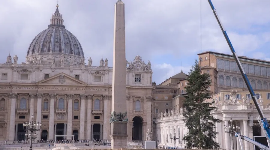 El árbol de esta Navidad 2022 llega al Vaticano