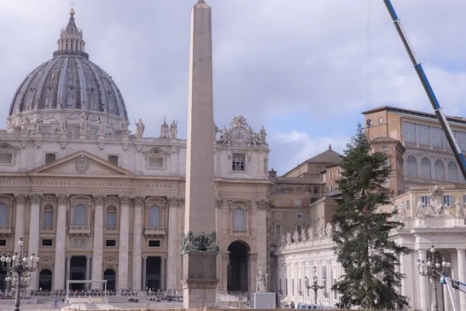 El árbol de esta Navidad 2022 llega al Vaticano