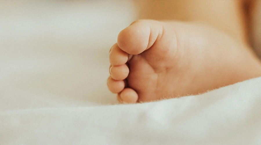 Imagen referencial / Cru00e9dito: Unsplash ?w=200&h=150