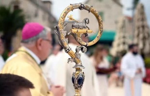 Báculo. Crédito: Simun Galic / Shutterstock.