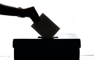 Imagen referencial Crédito: Element5 Digital/Pexels