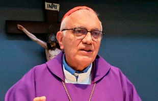 El Cardenal Porras advirtió que esta manera de proceder del gobierno de Maduro no contribuye con la paz del país. Crédito: Cardenal Baltazar Porras / X - @bepocar.