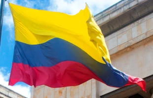 Bandera de Colombia. Crédito: Eduardo Berdejo / EWTN.