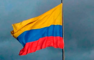 null Crédito: Felipe Restrepo Acosta / Wikipedia (CC-BY-SA-4.0)