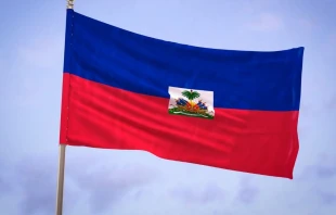Bandera de Haití. Crédito: Canva.