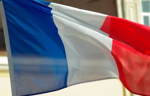 Bandera de Francia. Crédito: Jacqueline Macou (Pixabay).