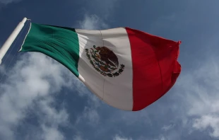 null Crédito: Christian Frausto Bernal (CC BY-SA 2.0)