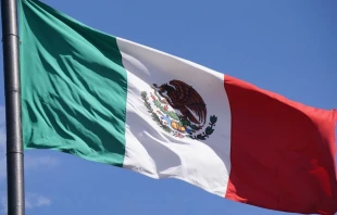 null Crédito: David Ramos/ACI Prensa.