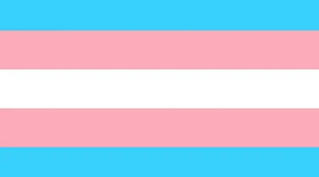 Organizaciones LGTB presionan al Gobierno para la aprobación de la Ley Trans en España