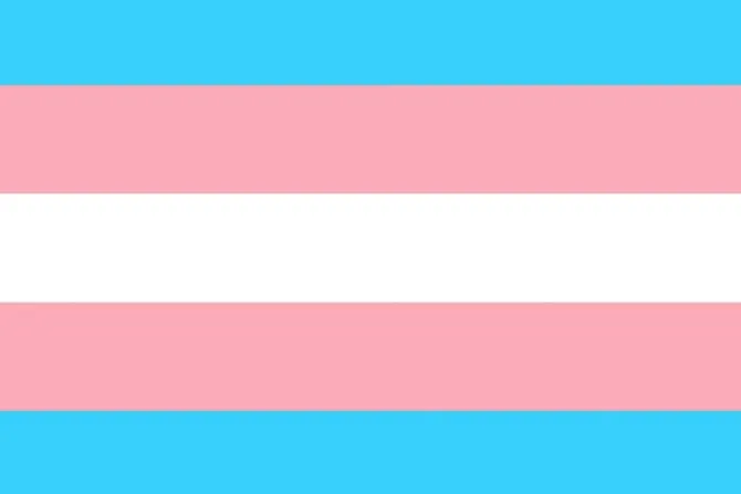 Organizaciones LGTB presionan al Gobierno para la aprobación de la Ley Trans en España