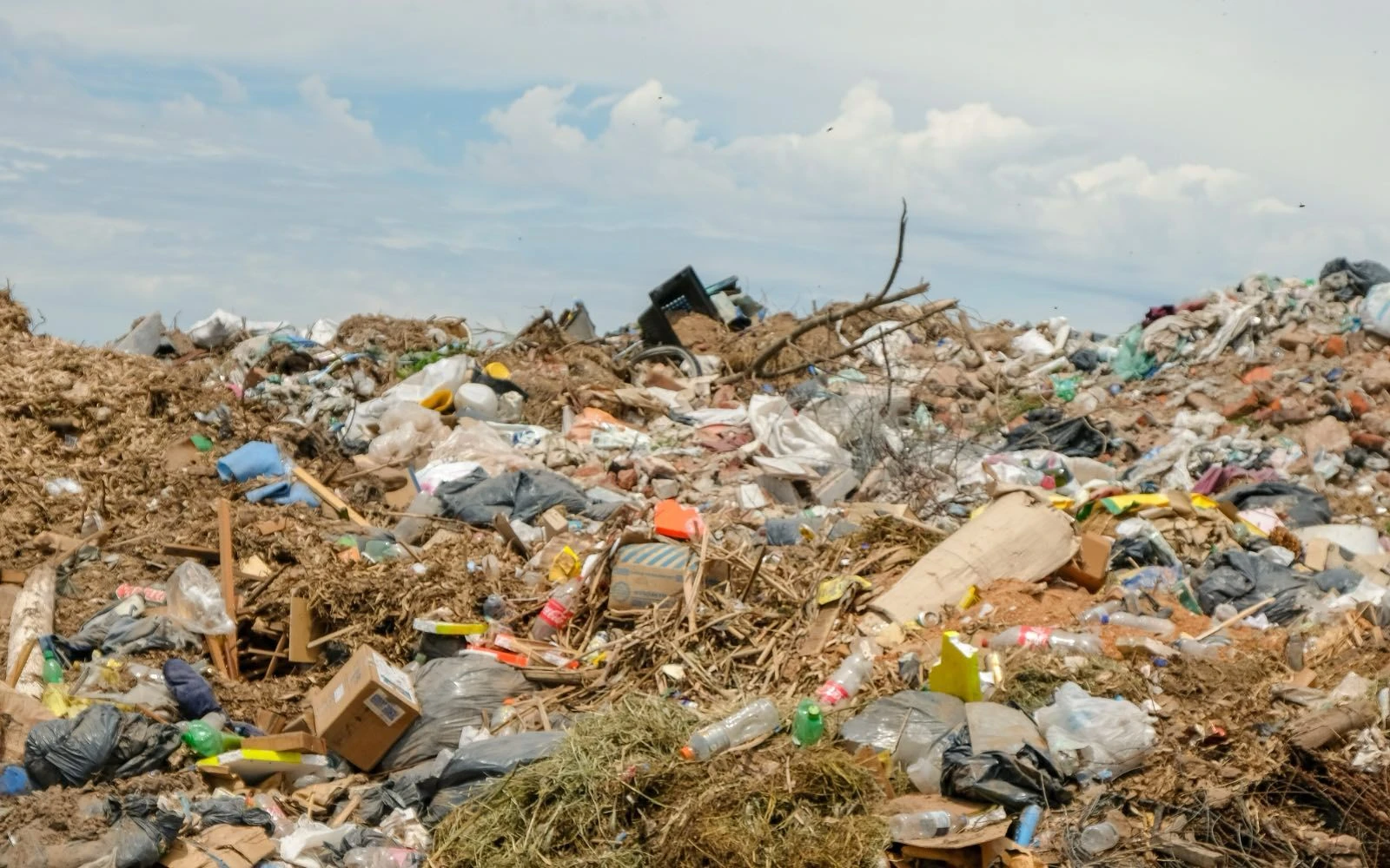Basural en Buenos Aires (Argentina)?w=200&h=150