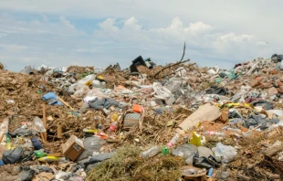 Basural en Buenos Aires (Argentina) Crédito: Manuel Ochoa/Shutterstock