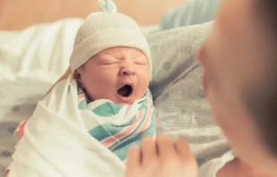 Imagen referencial. Crédito: Shutterstock