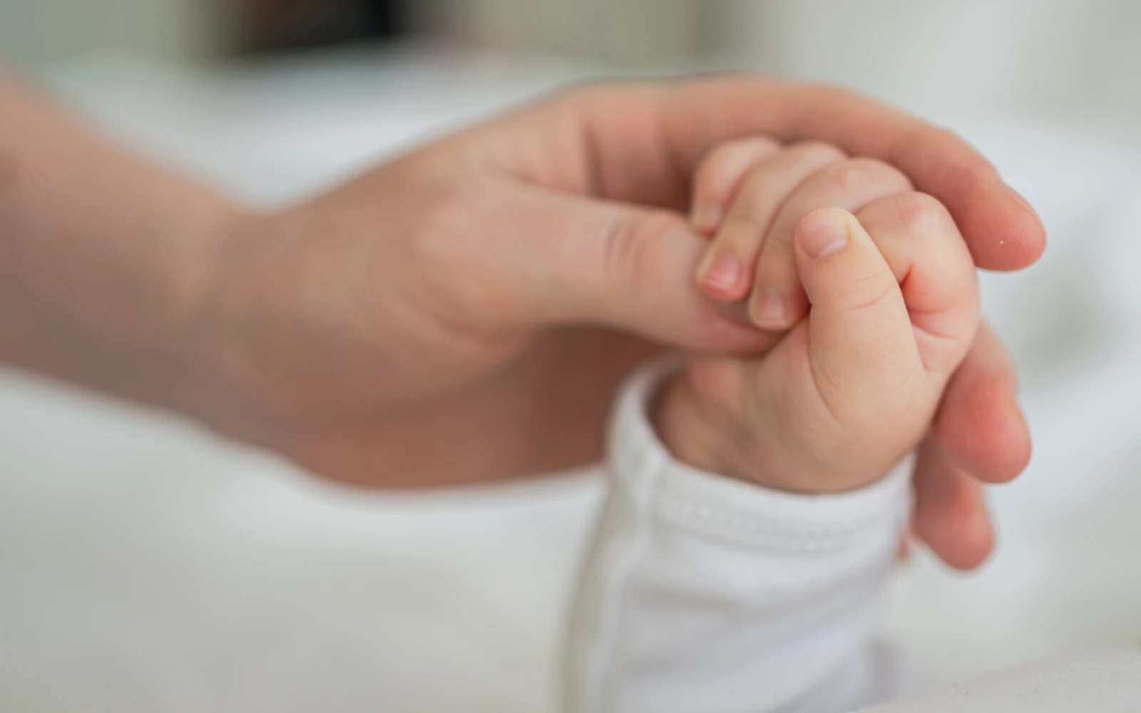 Imagen referencial.?w=200&h=150