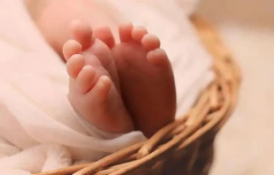 Imagen referencial. Foto: Pixabay / Dominio pu00fablico 