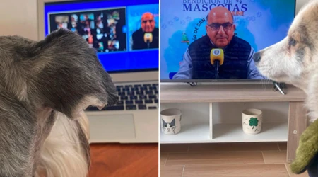 Bendición de mascotas