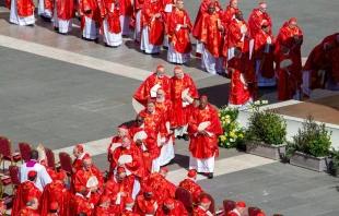 Cardenales en procesión durante el funeral del Papa Francisco en la Plaza de San Pedro, el sábado 26 de abril de 2025. Crédito: Bénédicte Cedergren/EWTN News.