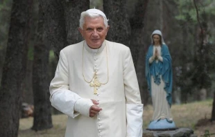 El Papa Benedicto XVI con el brazo enyesado tras sufrir una fractura en 2009. Crédito: Vatican News