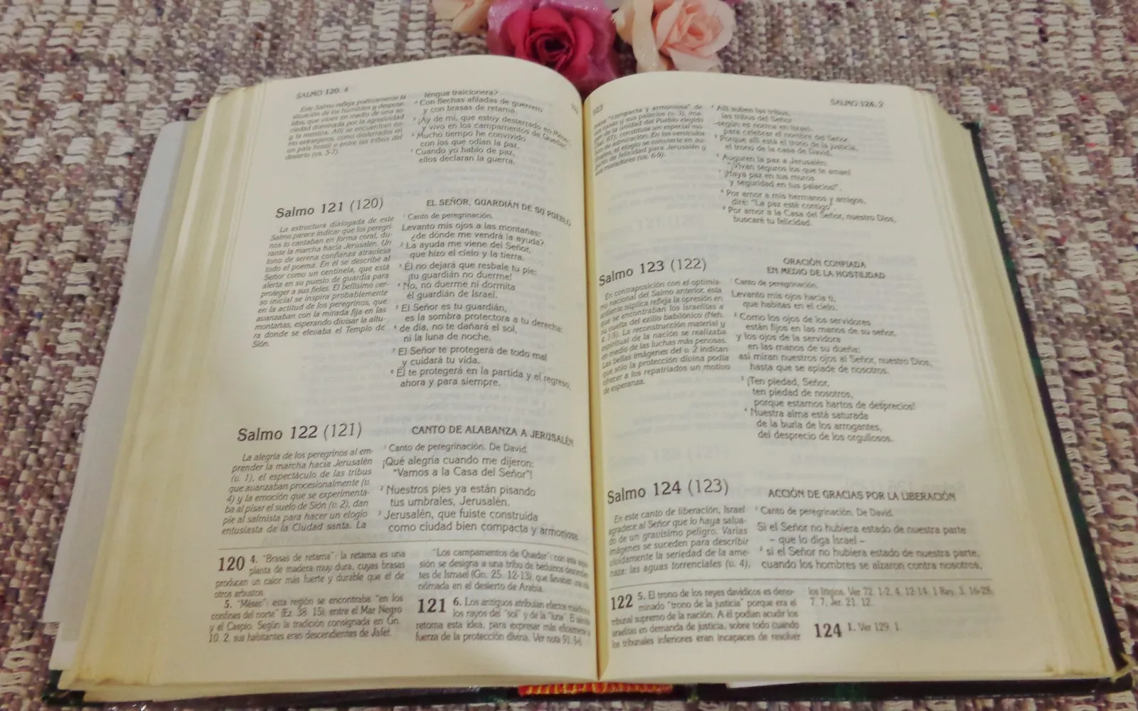 Biblia abierta por los salmos.?w=200&h=150