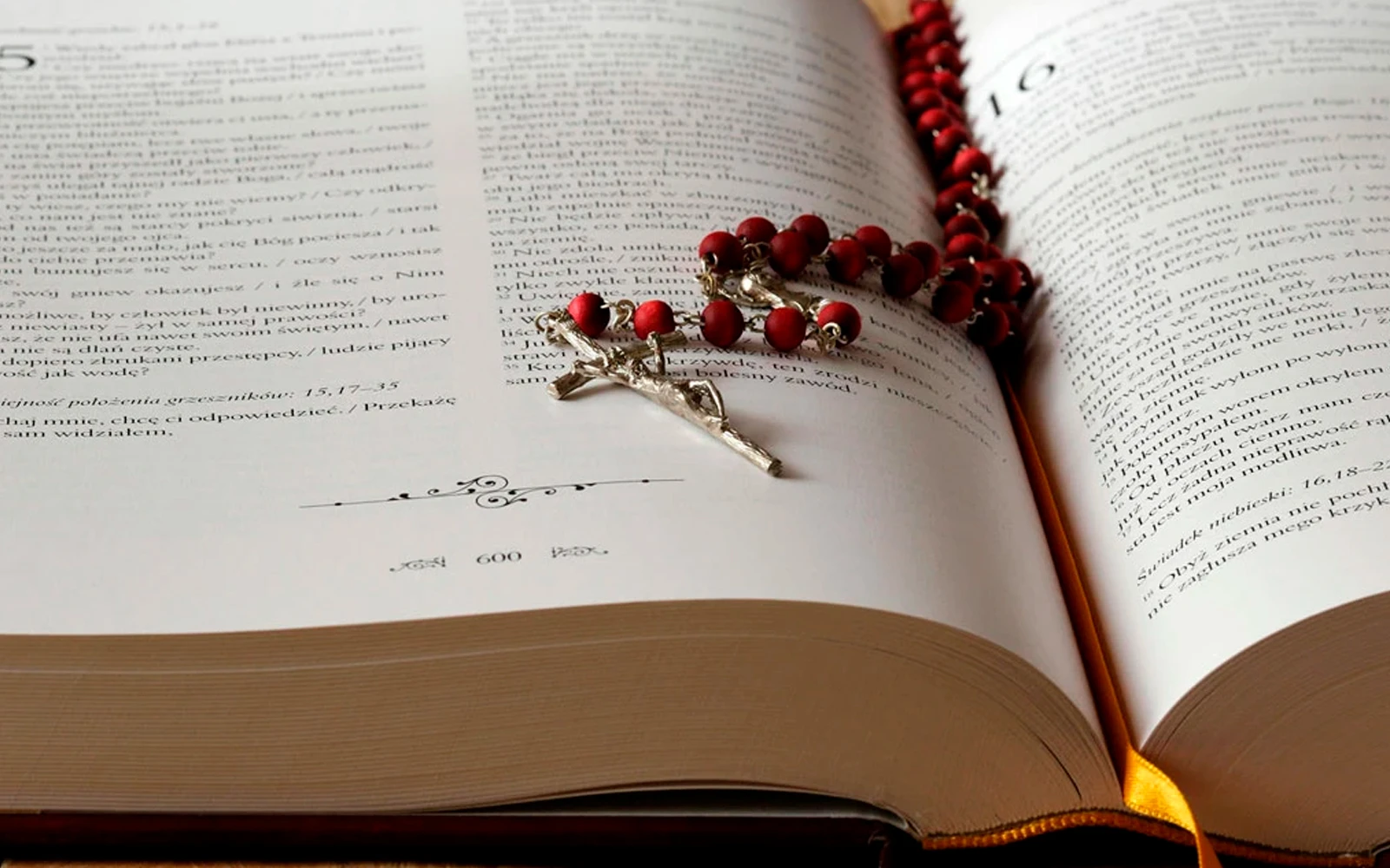 Biblia y rosario.?w=200&h=150