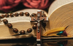 Imagen referencial. Cru00e9dito: Pixabay / Dominio pu00fablico 